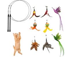 Interactief Katten Veren Speelgoed voor Kat Volwassene en Katje, 8st Vervanging Vogels Ballen Veren met Bel en 2st Handheld Elastische Teaser Toverstokjes voor Kitty Katje Binnen (A)
