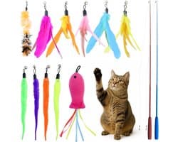 13 stuks kattenspeelgoedset, interactieve kattenspeelgoedveren, kattenhengel met 2 stuks inschuifbare, 11 kattenspeelgoed, reserveveren, zelfbezigheid met veer/bug/visbel