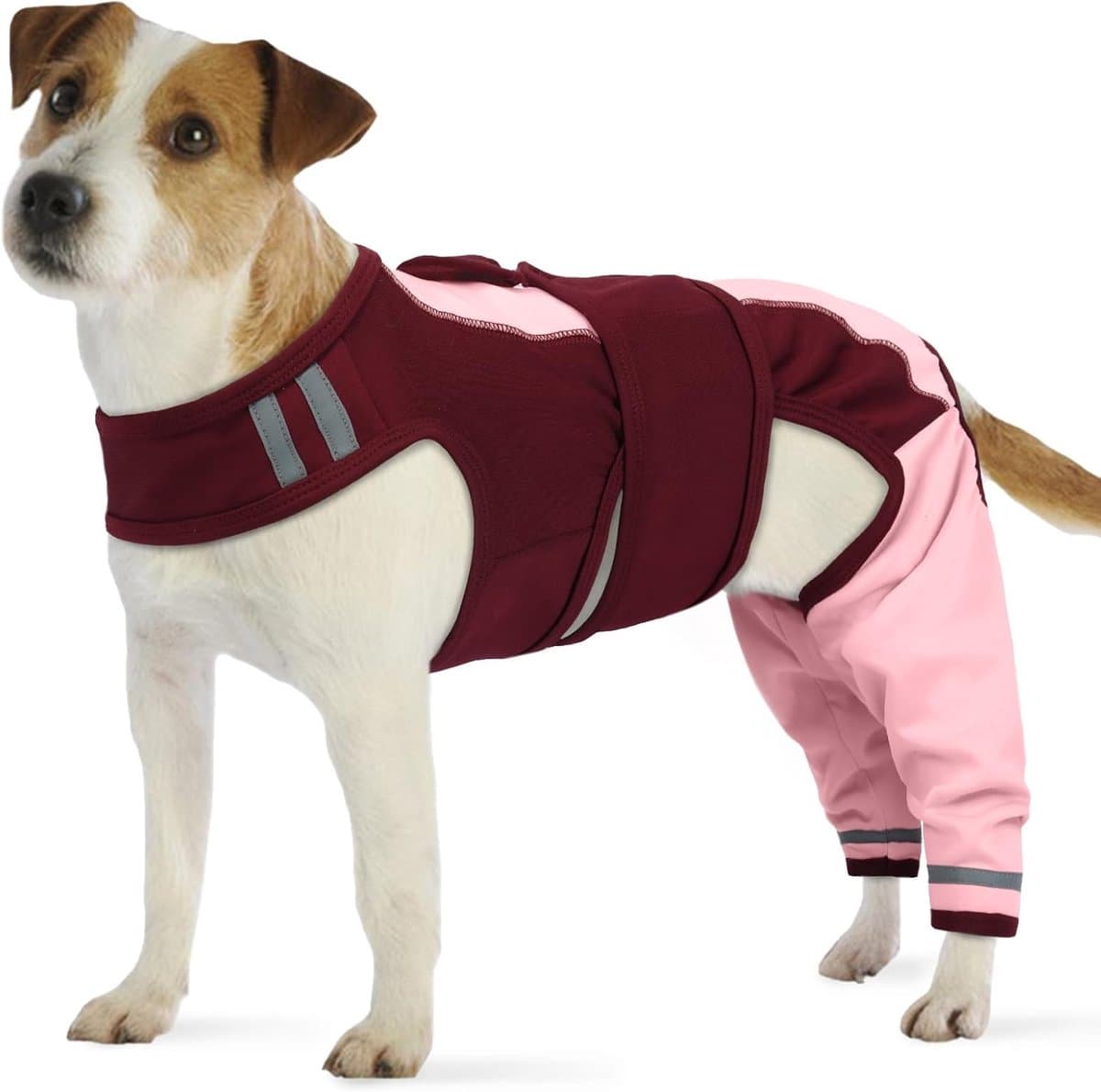 Lichaam na operatie hond, overall na operatie, vrouwelijk, lichaam na operatie, mannelijk, bescherming van de achterste poten, hond, herstelpak voor beenoperaties (roze, XS) — afbeelding 1
