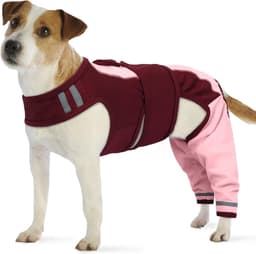 Lichaam na operatie hond, overall na operatie, vrouwelijk, lichaam na operatie, mannelijk, bescherming van de achterste poten, hond, herstelpak voor beenoperaties (roze, XS) — thumbnail 1