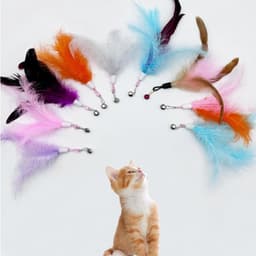 Set van 10 kleurrijke vervangingskoppen met veren en belletjes voor kattenspeelgoed, pluche speelgoed voor huisdieren met verwisselbare veerhanger, kattenspeelgoed — thumbnail 5