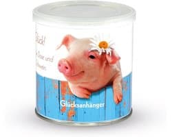 Lucky Box - Varkenshangertje - Hoogwaardig pluche - Verrassend cadeau - ShopVlot