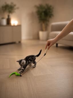 Assembly Katten Hengel Speelgoed – Interactief Kattenspeelgoed Set — thumbnail 5