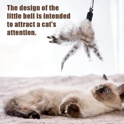 8 Stuks Kattenspeelgoed met Belletjes,Kattenveren Speelgoed met Belletjes — thumbnail 5