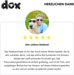 DDOXX Air Mesh hondenhalsband, reflecterend, gewatteerd, verstelbaar | Veel kleuren en maten | voor klein, middelgroot en groot | Halsbanden voor puppykatten | Rood, S, arnet voor Hond — thumbnail 3