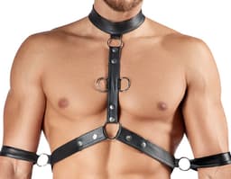 Men's Harness AND Pants XL — thumbnail 2