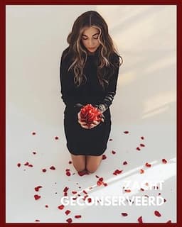 Echte Rozenblaadjes in Geschenkverpakking | Romantisch Cadeau voor Vrouwen | Geconserveerde Rozen — thumbnail 3