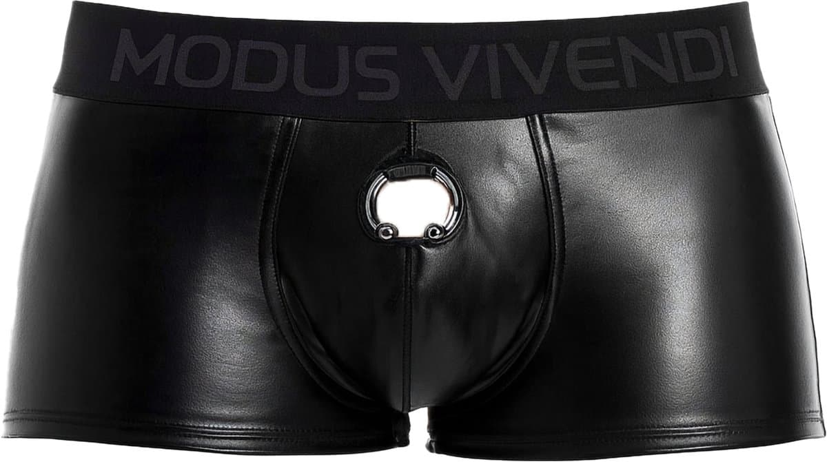MODUS VIVENDI Prince Albert Bottomless Boxer - MAAT S - Erotisch Heren Ondergoed - Boxershort voor Man - Sexy mannen Boxershort — afbeelding 1