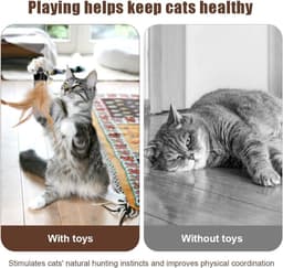 8 Stuks Kattenspeelgoed met Belletjes,Kattenveren Speelgoed met Belletjes — thumbnail 3