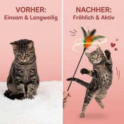 12 stuks kattenspeelgoed, kattenhengelveer, kattenspeelgoed, hengel met veerspeelgoed, 40 cm lengte, voor interactief spel en beweging, voor kittens en katten — thumbnail 5