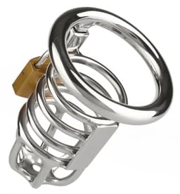 Master Chastity Cock Cage — thumbnail 3