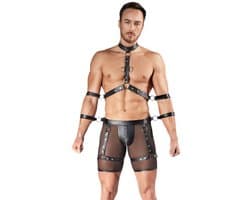 Men's Harness AND Pants XL