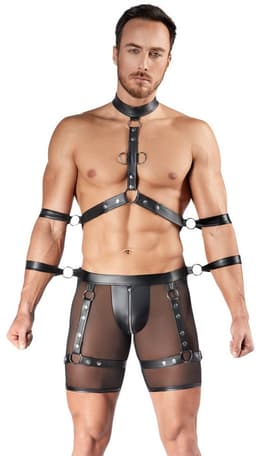 Men's Harness AND Pants XL — thumbnail 5