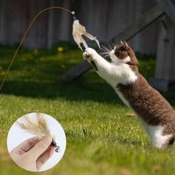 8 stuks kattenveren, reservespeelgoed voor katten zonder chemische kleurstoffen, inclusief navullingen voor natuurlijke kattenveren, met 1 windmolen van bamboelibellen — thumbnail 3