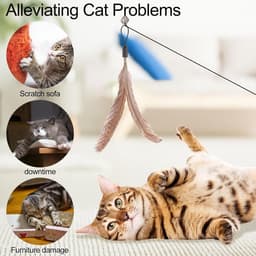 8 stuks kattenveren speelgoed met belletjes, vederteaser kattenspeelgoed, vervangende vullingen met belletjes, sporter speelspeelgoed voor kitten en kat — thumbnail 5