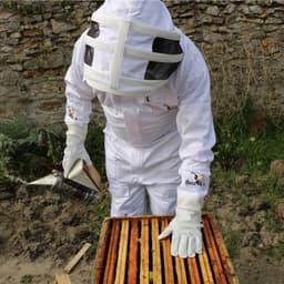 Best Bee Bijenteelthandschoenen van geitenleer met geventileerde stoffen mouwen, ademend en dik, imker handschoenen - ShopVlot — thumbnail 5