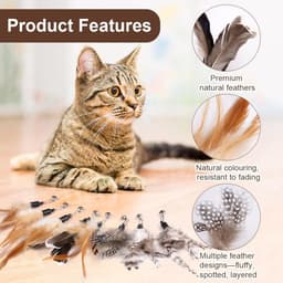 8 Stuks Kattenspeelgoed met Belletjes,Kattenveren Speelgoed met Belletjes — thumbnail 2