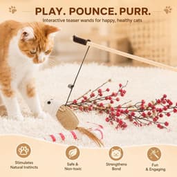 4 stuks kattenspeelgoedset, kattenhengel van natuurlijk hout met veer en belletje, sisalmuis, 40 cm staaf en 76 cm elastisch koord voor interactief indoorspel — thumbnail 2