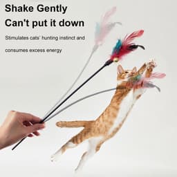 Veer, 14 stuks kattenspeelgoed, kattenhengelveer, kattenvissen, stabiel, interactief kattenspeelgoed, interactief kattenspeelgoed voor kittens — thumbnail 5