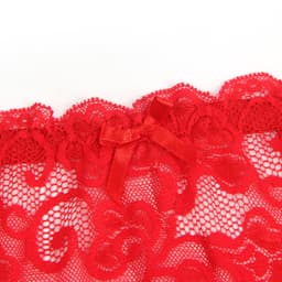 Zeloria Erotische Lingerie Jarretelgordel met Bijpassende Slip – Luxe Kant – Rood – M/L — thumbnail 5