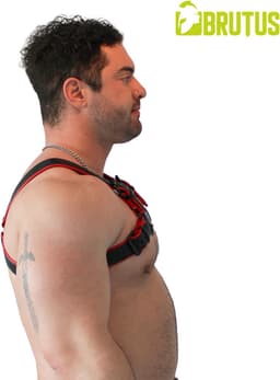 Brutus Vegan Bulldog Harnas - Zwart/Rood - Maat L/XL — thumbnail 5