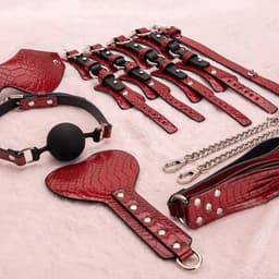 Luxe 10-Delige Bondage Set - Verstelbaar PU-Leder met Zacht Pluche - Soft Bondage Starterkit voor Koppels — thumbnail 2