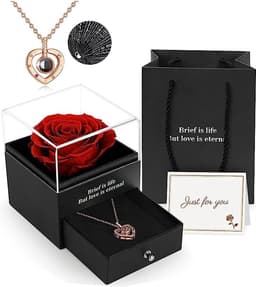 WNHB® Eeuwige roos in geschenkdoos - Met ik hou van je ketting - Handgemaakte echte roos - Romantisch cadeau voor vrouw vriendin moeder - Voor verjaardag jubileum valentijnsdag moederdag kerst — thumbnail 1