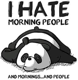100% Katoenen T-Shirt met Korte Mouwen voor Mannen en Vrouwen, 5 Maten, Wit T-Shirt, I Hate Morning People — thumbnail 4