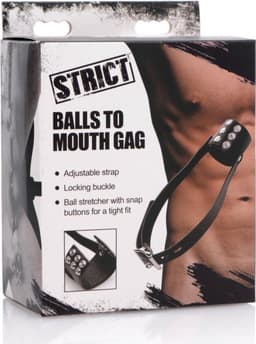 Balls-to-Mouth Gag — thumbnail 4