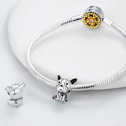 925 Sterling zilveren bedeltje past op Pandora Armbanden Ketting, Hangers DIY Sieraden Gift Voor Vrouwen (met een Spacer Bead Charms) — thumbnail 3