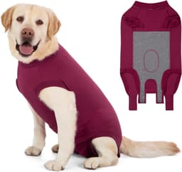 Herstelpak Vrouwelijke Spay Operatie Hond Body Suit Na Chirurgie Mannelijke Honden Chirurgische Herstel Onesie Medische Vest Post Op Honden Chirurgie Kegel Alternatief Anti-lik Wonden — thumbnail 1