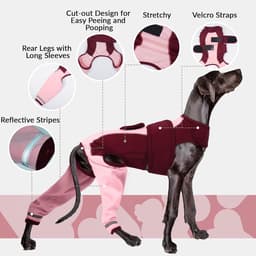Lichaam na operatie hond, overall na operatie, vrouwelijk, lichaam na operatie, mannelijk, bescherming van de achterste poten, hond, herstelpak voor beenoperaties (roze, XS) — thumbnail 4