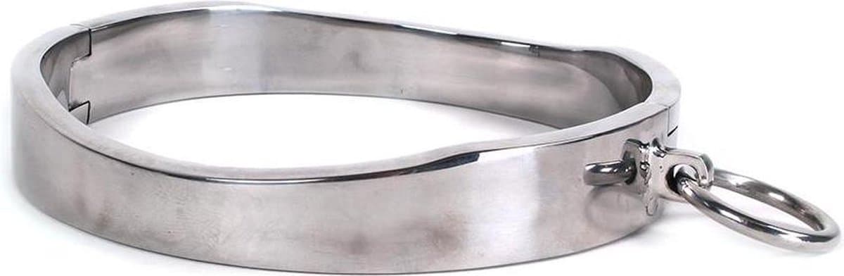 Collar met magnetisch slot RVS — afbeelding 1