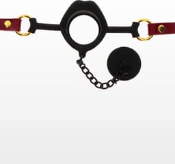 Kinky Gag with Plug — thumbnail 2