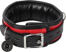 Banoch - Collar & leash Silver - Halsband en Riem - Zwart / Rood met zilver — thumbnail 11