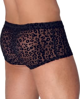 Noir Handmade - Leopard flock short Korte broek - 2XL - Zwart — thumbnail 6