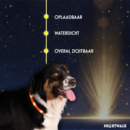 Nightwalk Safety Collar - Verlichting hond - Lichtgevende halsband - LED - Oplaadbaar - Waterdicht - One size - Oranje — thumbnail 2