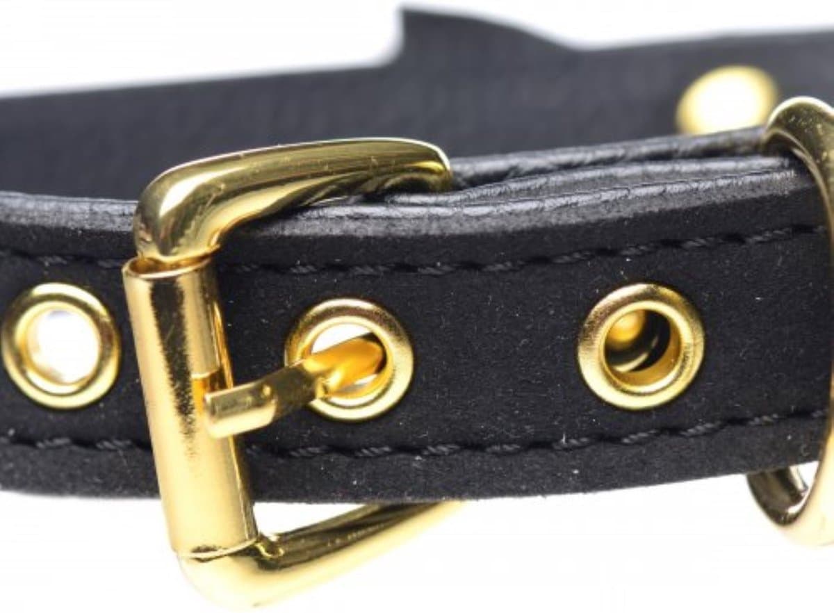 Master Series Golden Kitty Collar Met Kattenbelletje - Zwart/Goud — afbeelding 1