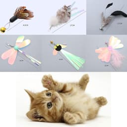 6 stuks reserveveren voor katten, speelgoed, kattenveer, gesorteerde veer, kat, interactief speelgoed, reserveveren voor kat met bel, grappige kattenstaaf voor vermaak (A) — thumbnail 4