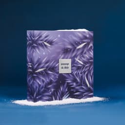 Passage du Désir - Ondeugende adventskalender 2026 voor koppels x Womanizer - 24 sensuele verrassingen - luchtdrukstimulator, mini-rabbit voor de G-spot, op afstand bedienbaar vibrerend eitje - seksspeeltjes voor hem en haar, spelletjes - kerstcadeau — thumbnail 1