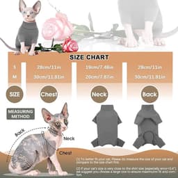Herstelpak Voor Kat en Hond Vierpotige Onesie Herstelkleding Huisdier Recovery Suit Beschermpak Kalmerend Shirt Postoperatieve Kleding Voor Katten en Kleine Honden Maat S — thumbnail 2