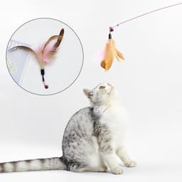 5 stuks reserve-kattenspeelgoed, kattenspeelgoed, veerspeelgoed voor katten, kattenhengel, inclusief navullingen voor natuurlijke kattenveren — thumbnail 2