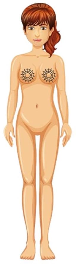 Sexy Tepel Tattoos – Tijdelijke Spinnenweb Tattoo voor Vrouwen – Tepelstickers & Body Art – Erotische Tepelplakkers – 2 stuks Neptattoos van 7 cm — thumbnail 3