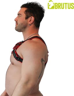 Brutus Vegan Bulldog Harnas - Zwart/Rood - Maat L/XL — thumbnail 3