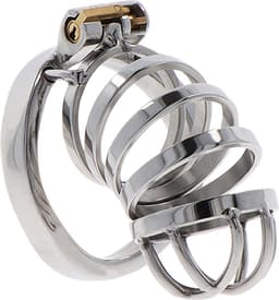 Hidden Desire - Extreme Chastity Cock Cage Metal — thumbnail 2