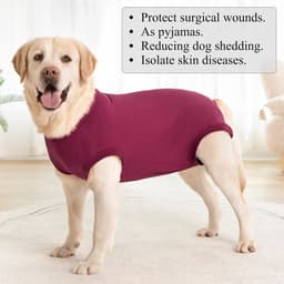 Herstelpak Vrouwelijke Spay Operatie Hond Body Suit Na Chirurgie Mannelijke Honden Chirurgische Herstel Onesie Medische Vest Post Op Honden Chirurgie Kegel Alternatief Anti-lik Wonden — thumbnail 2