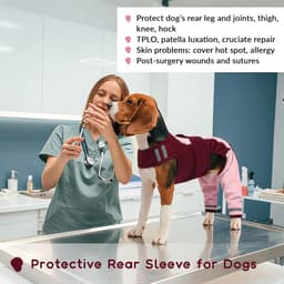 Lichaam na operatie hond, overall na operatie, vrouwelijk, lichaam na operatie, mannelijk, bescherming van de achterste poten, hond, herstelpak voor beenoperaties (roze, XS) — thumbnail 2