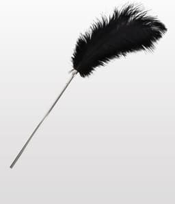 Feather Tickler — thumbnail 1
