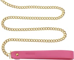 Collar and Leash — thumbnail 4