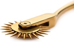 XR Brands - Wartenberg Wiel - Goud — thumbnail 10